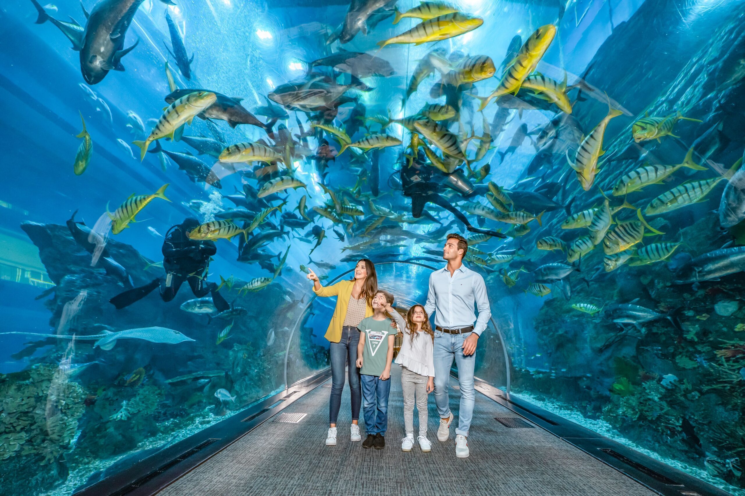 Dubai-Aquarium-Underwater-Zoo-6-1-scaled-1