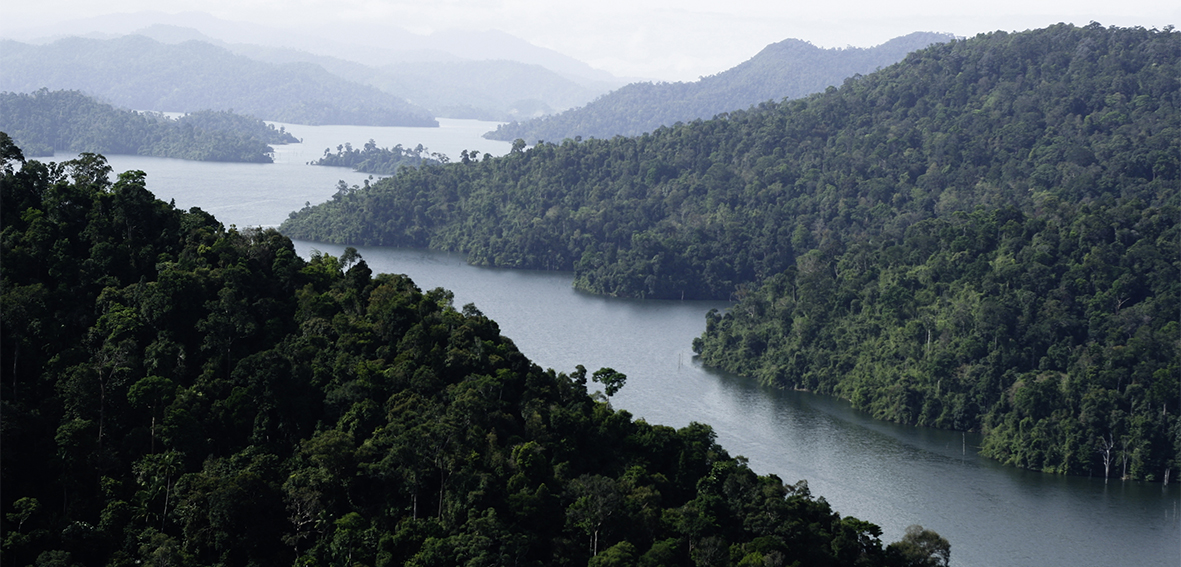 ROYAL BELUM NATIONAL PARK