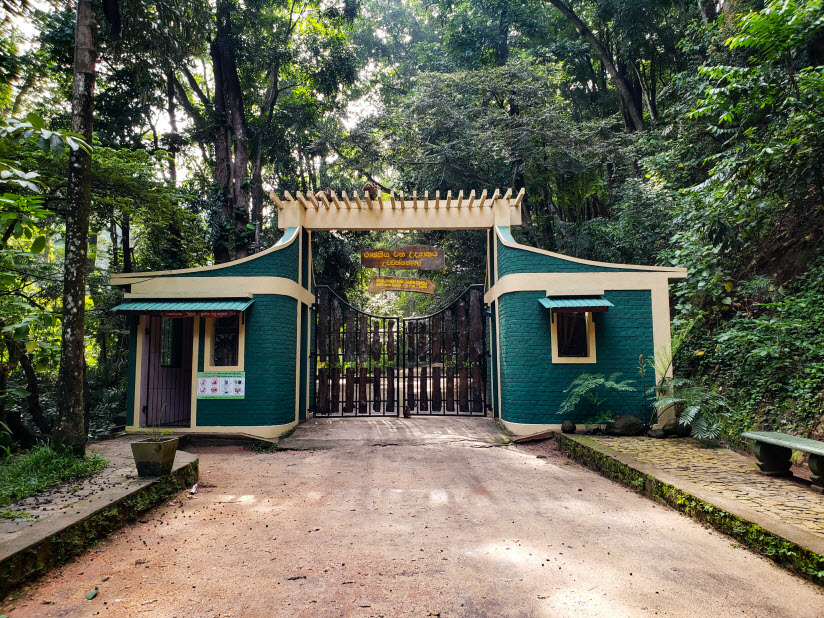 lesnoy-zapovednik-udawatta-kele-sanctuary