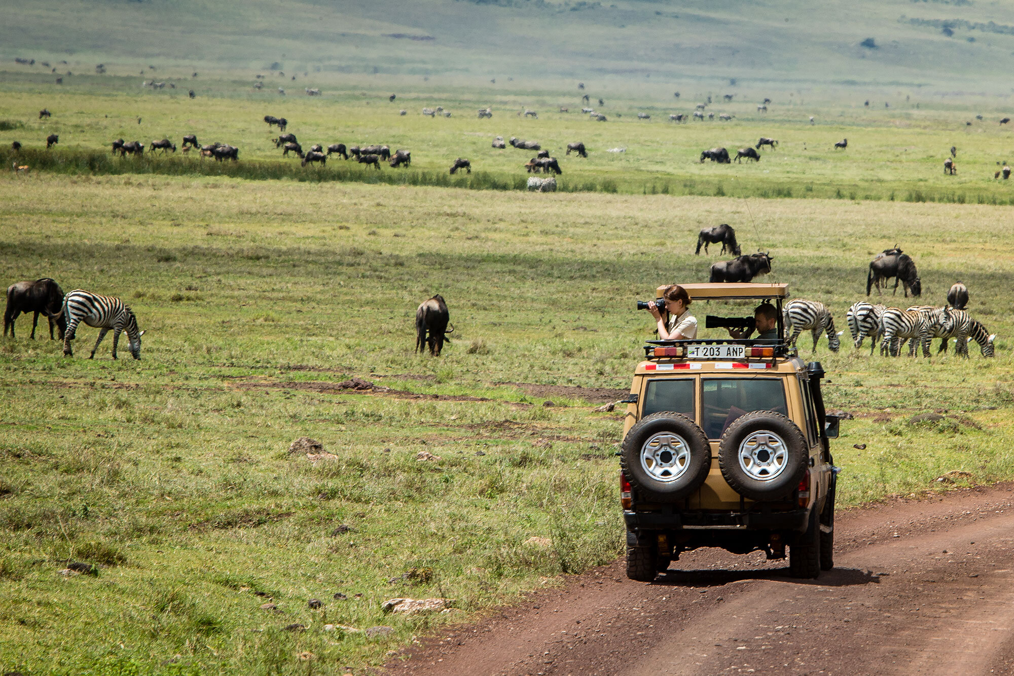 ngorogoro_crater_day_excursion_3